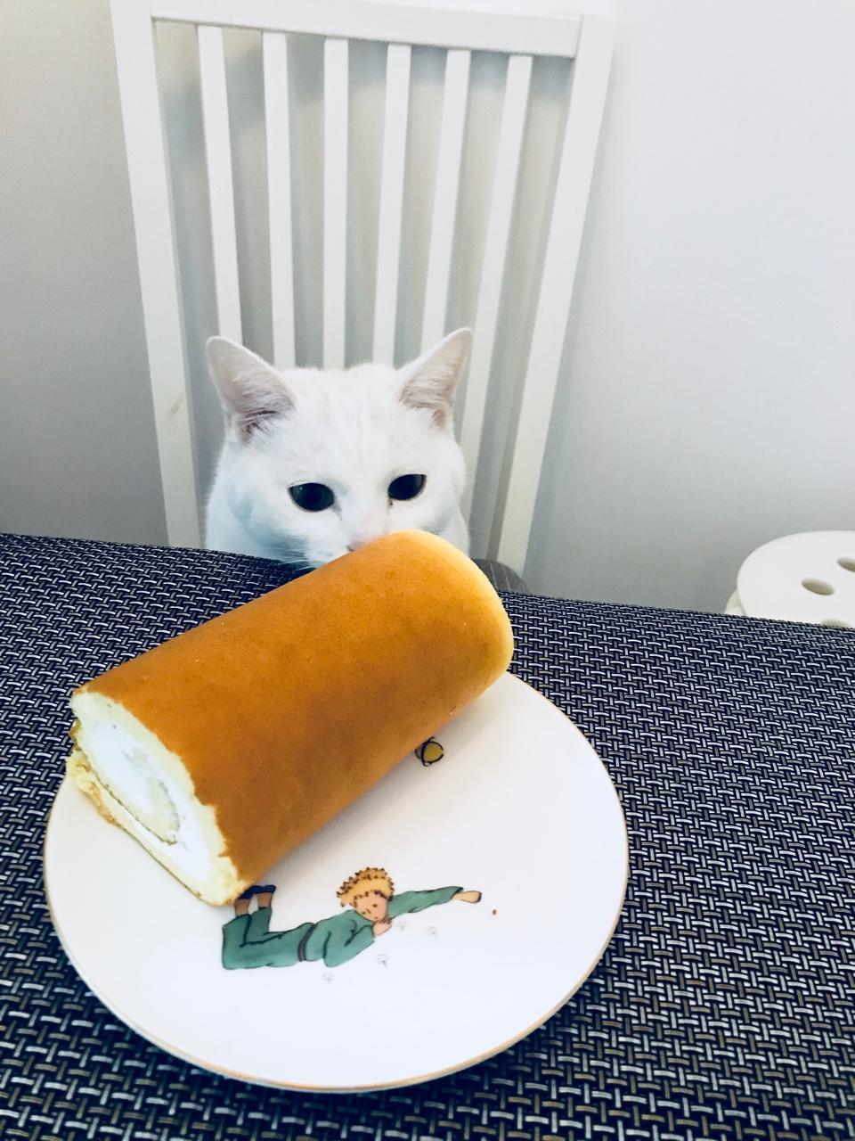 无油酸奶奶油戚风卷～家常版