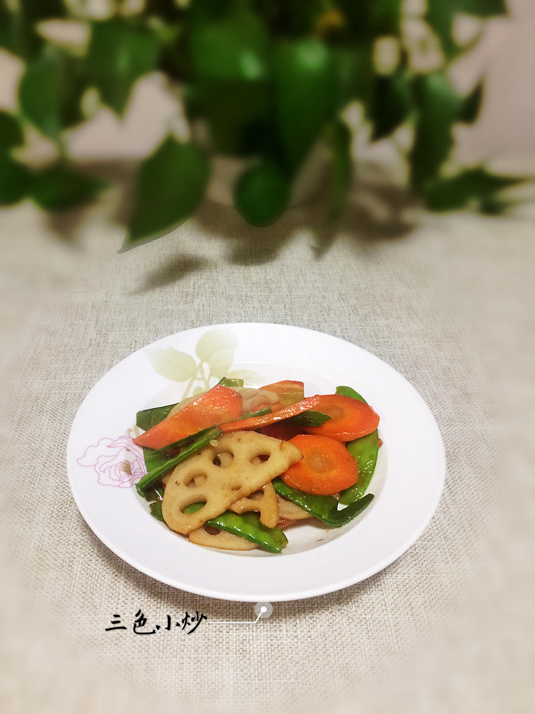 【三个小时十八道菜】之三色小炒