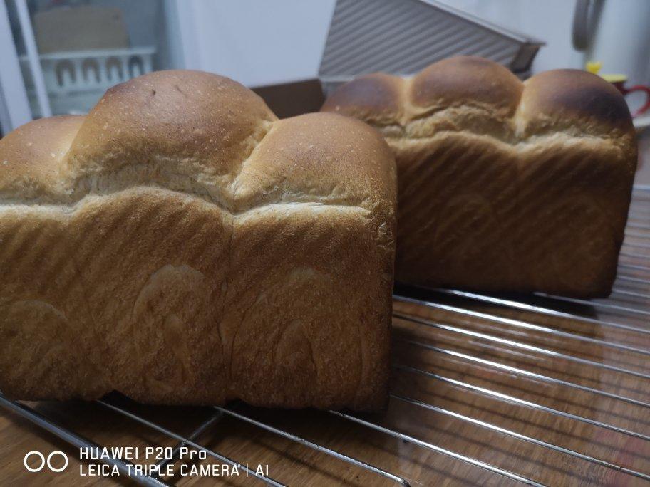 波兰种全麦吐司