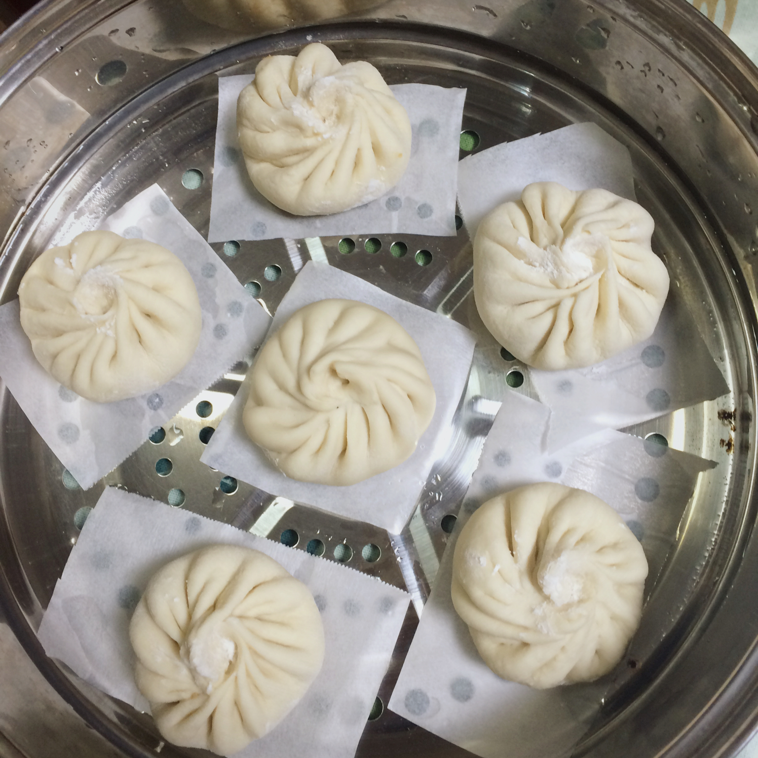 最好吃的肉包子（女侠森森）