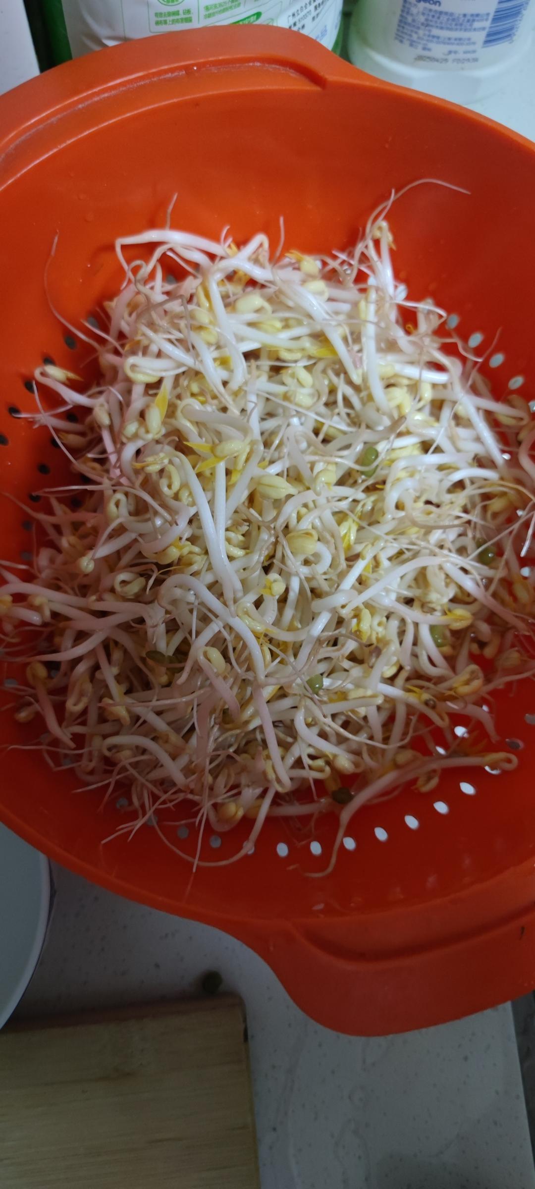 自发豆芽👉👉不用豆芽机版且附操作视频