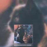 一枚吃货爱好妹子