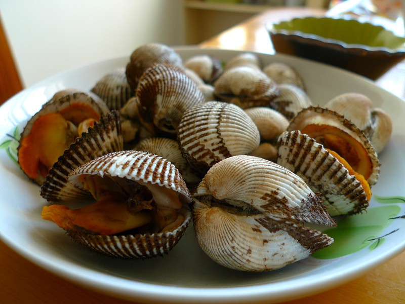 nono一个人吃饭做的白煮毛蛤