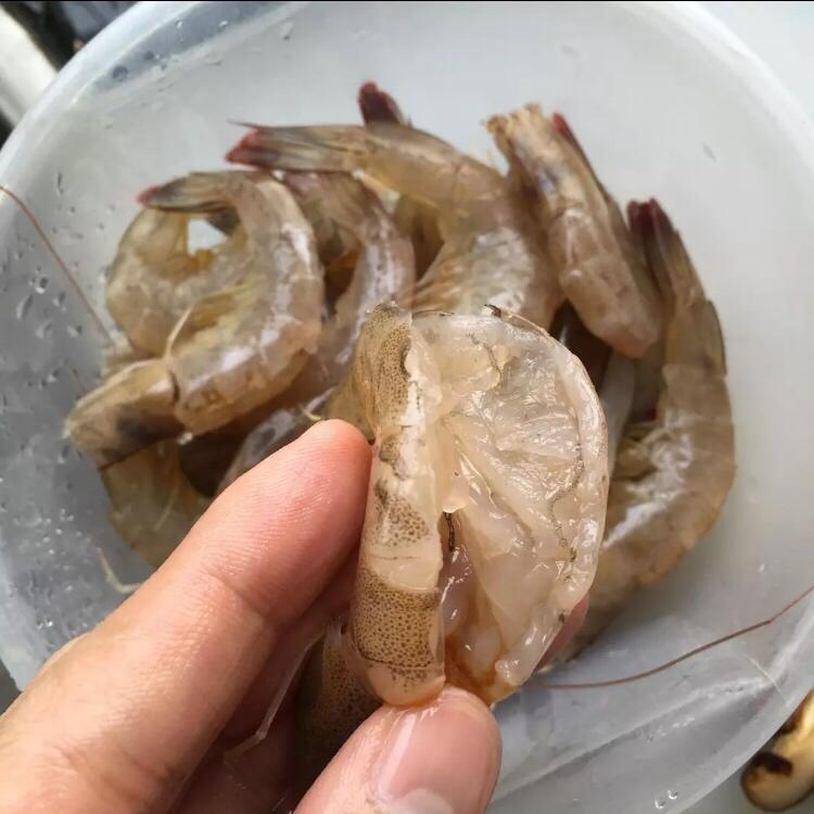 （海鲜粥）超简单电饭煲版的做法 步骤4