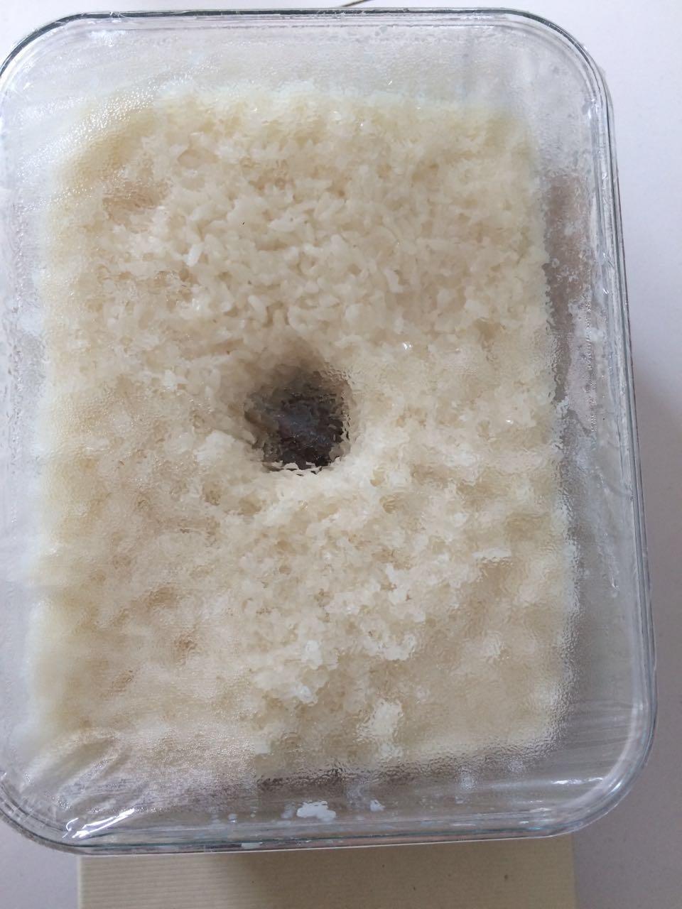 米酒，酒酿，醪糟