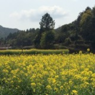 悦食间