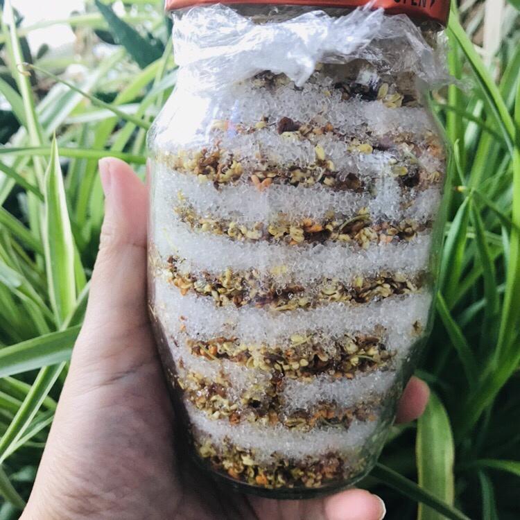 自制桂花蜜酱