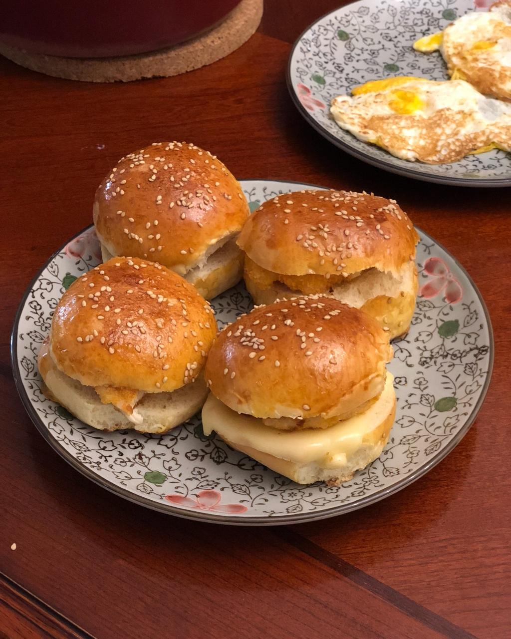 汉堡胚（中种法）