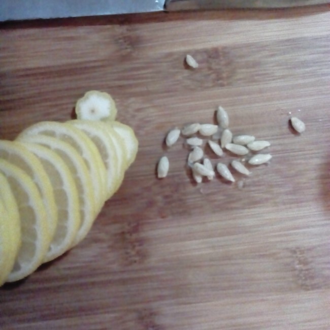 柠檬落入蜂蜜罐的做法 步骤2