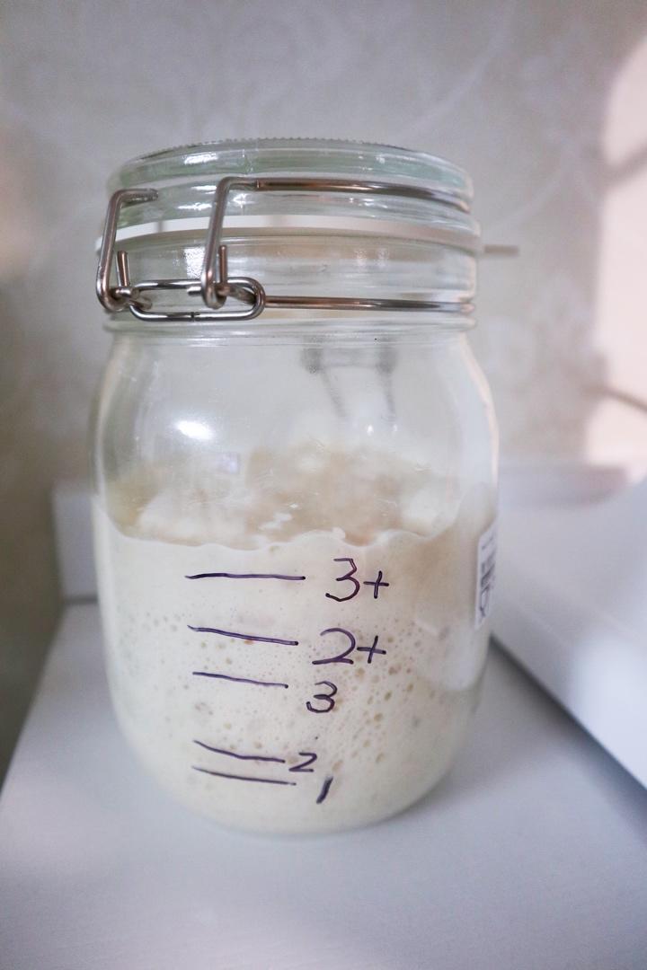 面包天然酵母培养使用全攻略                                           （葡萄天然酵种）