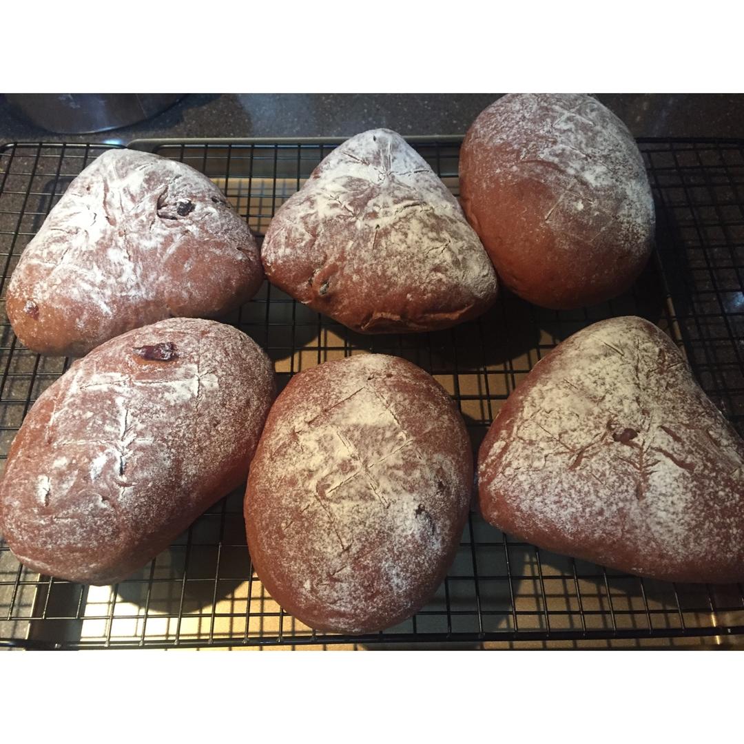 可可蔓越梅软欧~天然酵种(波兰种)