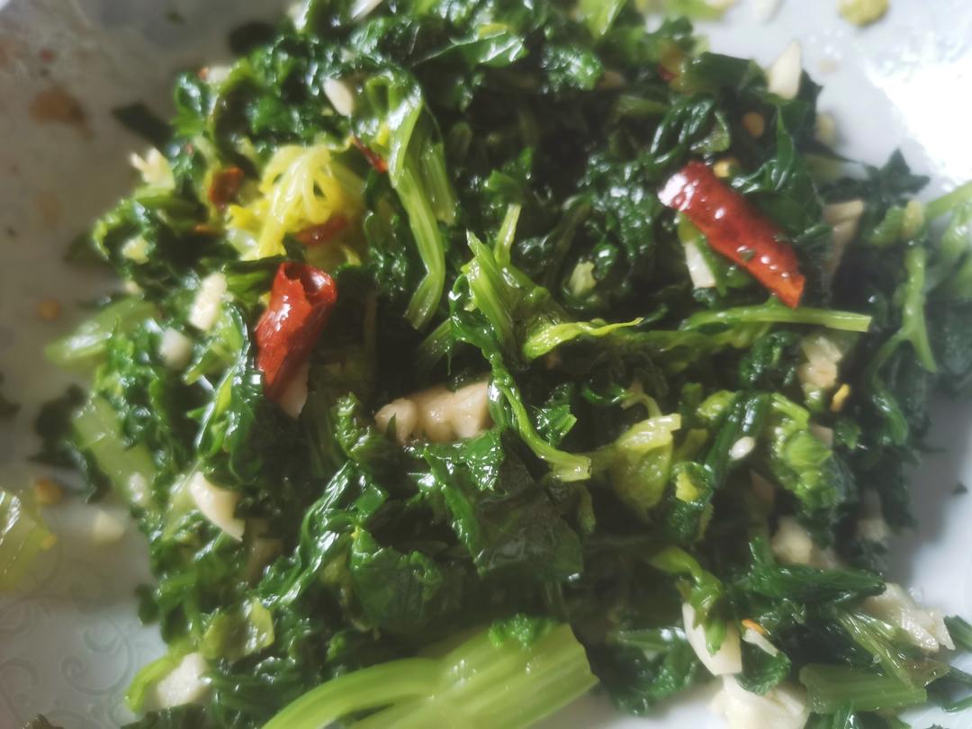 简单的凉拌芹菜叶