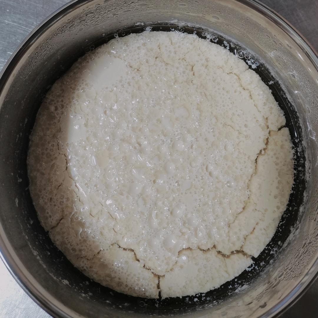 🌳🥛如何用黄豆做豆浆和豆植物酸奶，及菌种选择Vegan  Plant-Based Soybean Yogurt[素食Vegan]