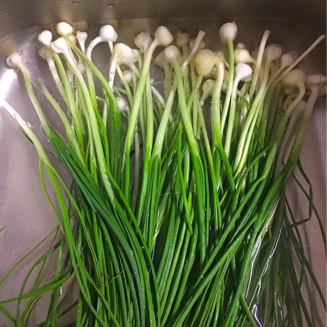 野葱炒土鸡蛋