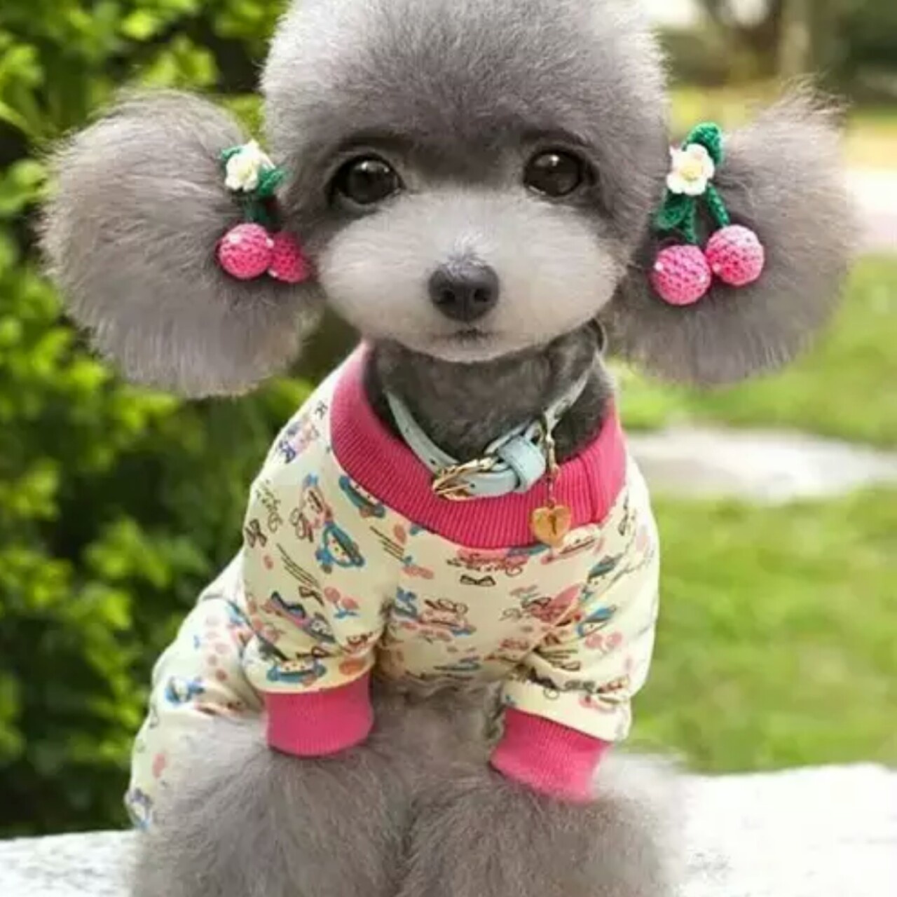 手机用户5595_avpo