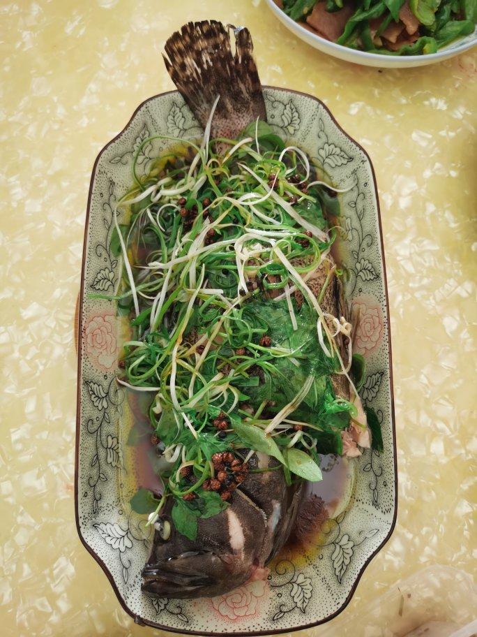 清蒸鱼（鲈鱼/多宝鱼/桂花鱼/石斑鱼……）