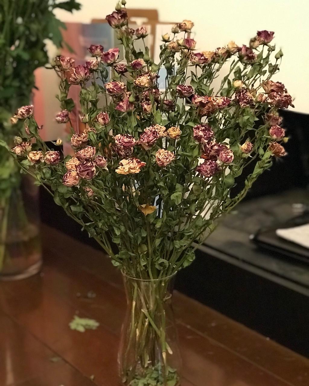 玫瑰花变干花永远保存你的爱