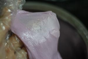 椰香紫米南瓜双拼吐司🍞浓郁椰香多重馅料的做法 步骤9