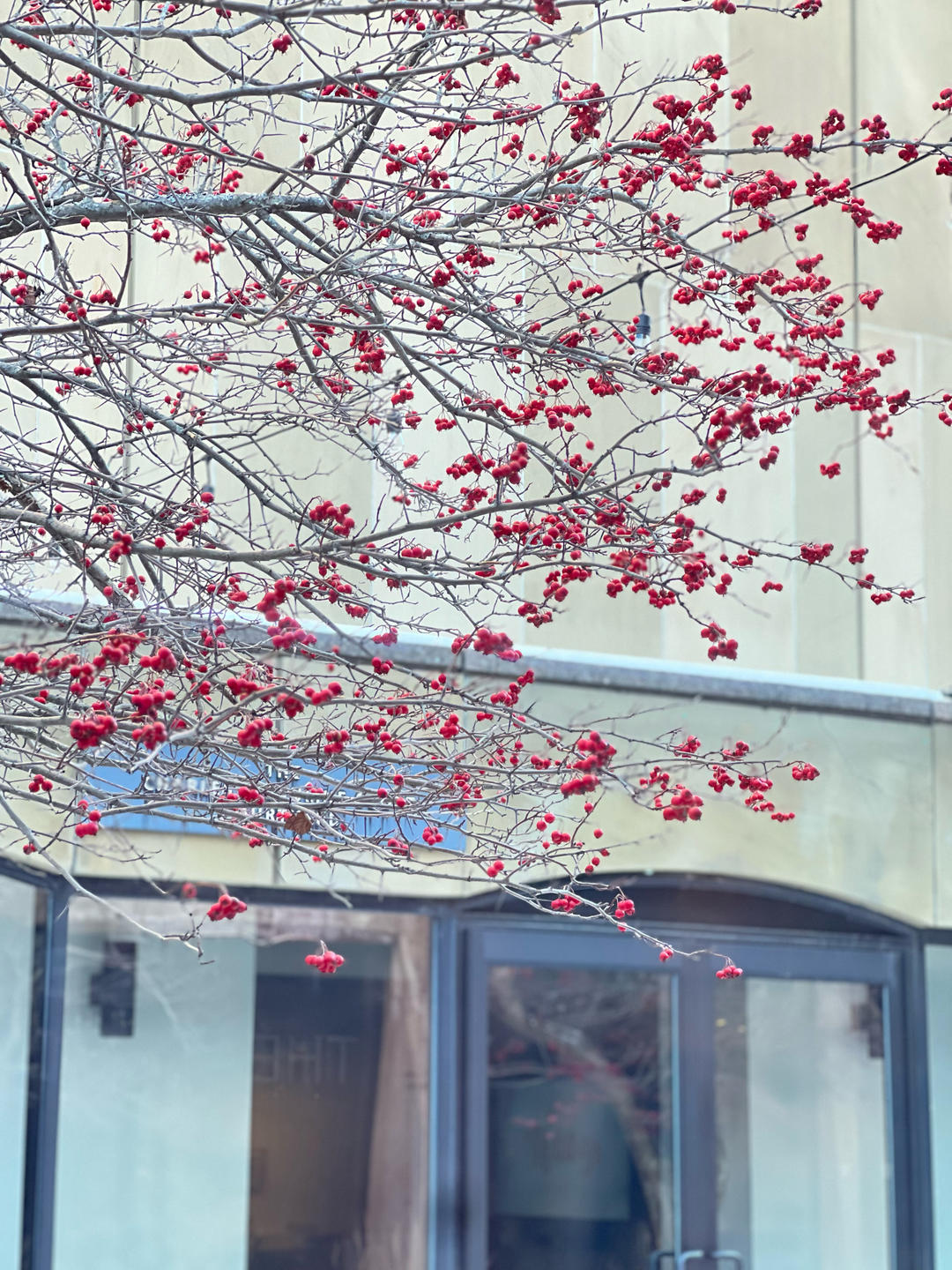 老式咸奶油杏仁蛋糕卷