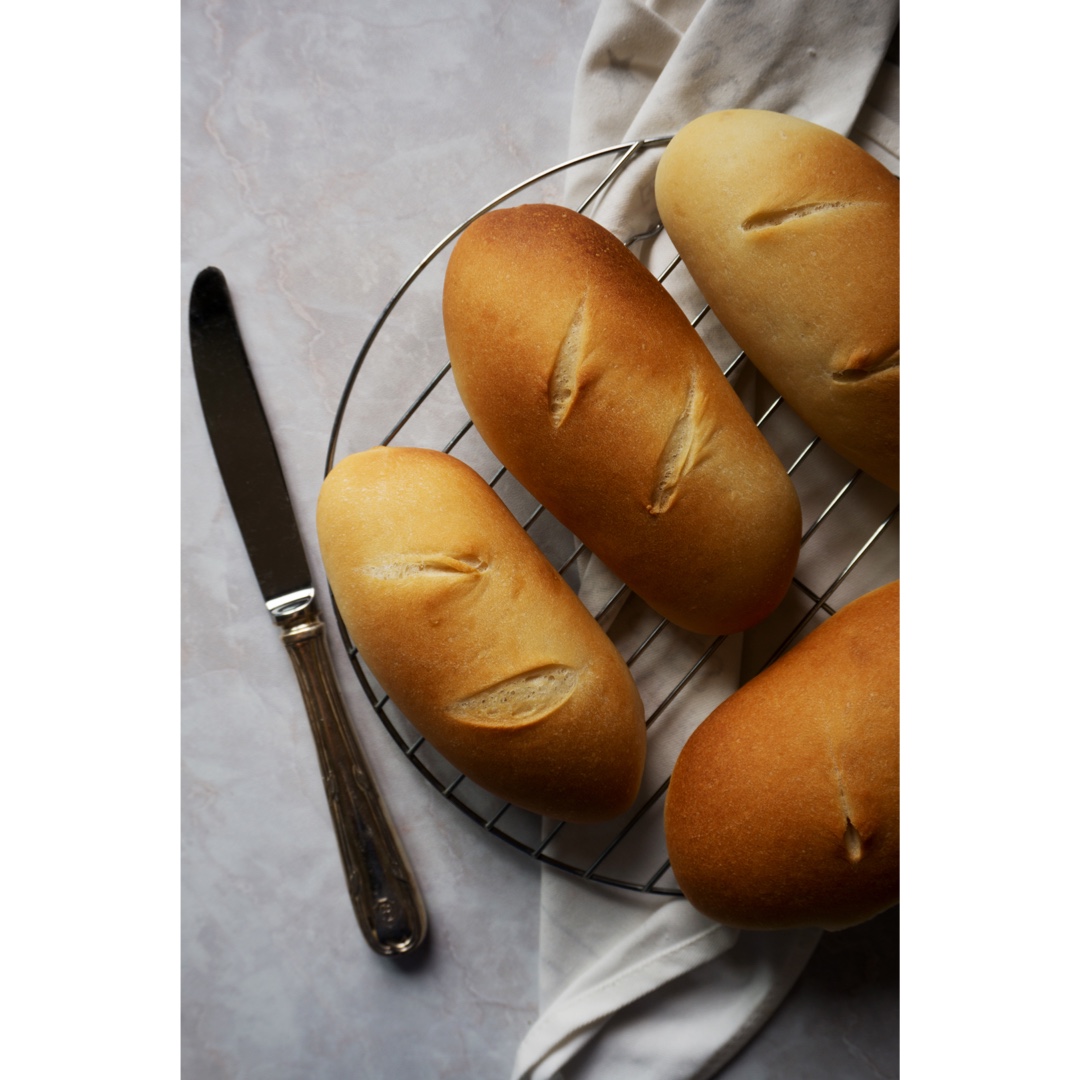 “Fat Cat Eat eat eat”