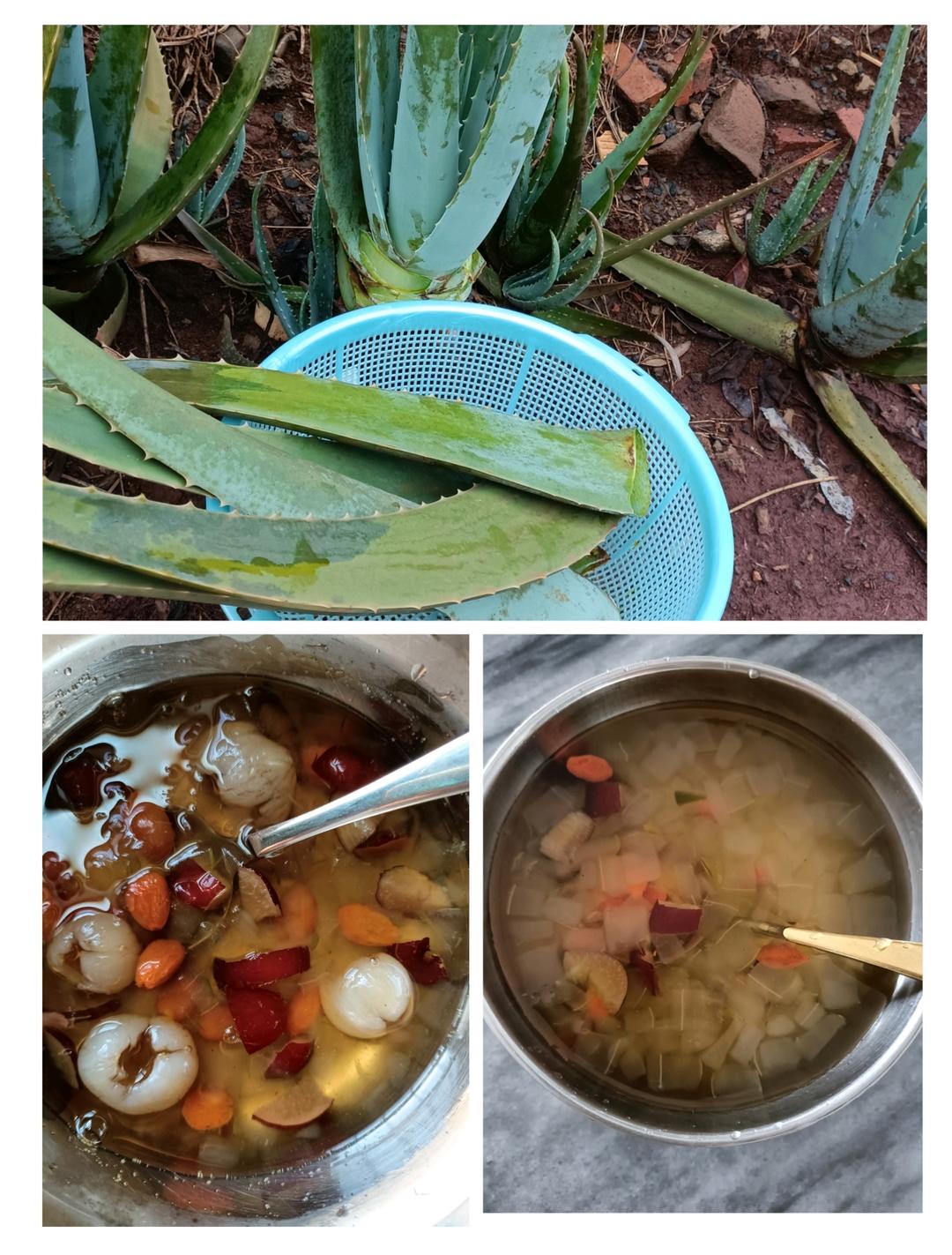 芦荟糖水（附芦荟粒脆爽窍门）的做法