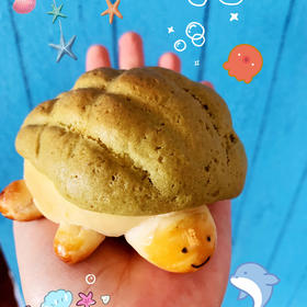 超级可爱的小乌龟菠萝包