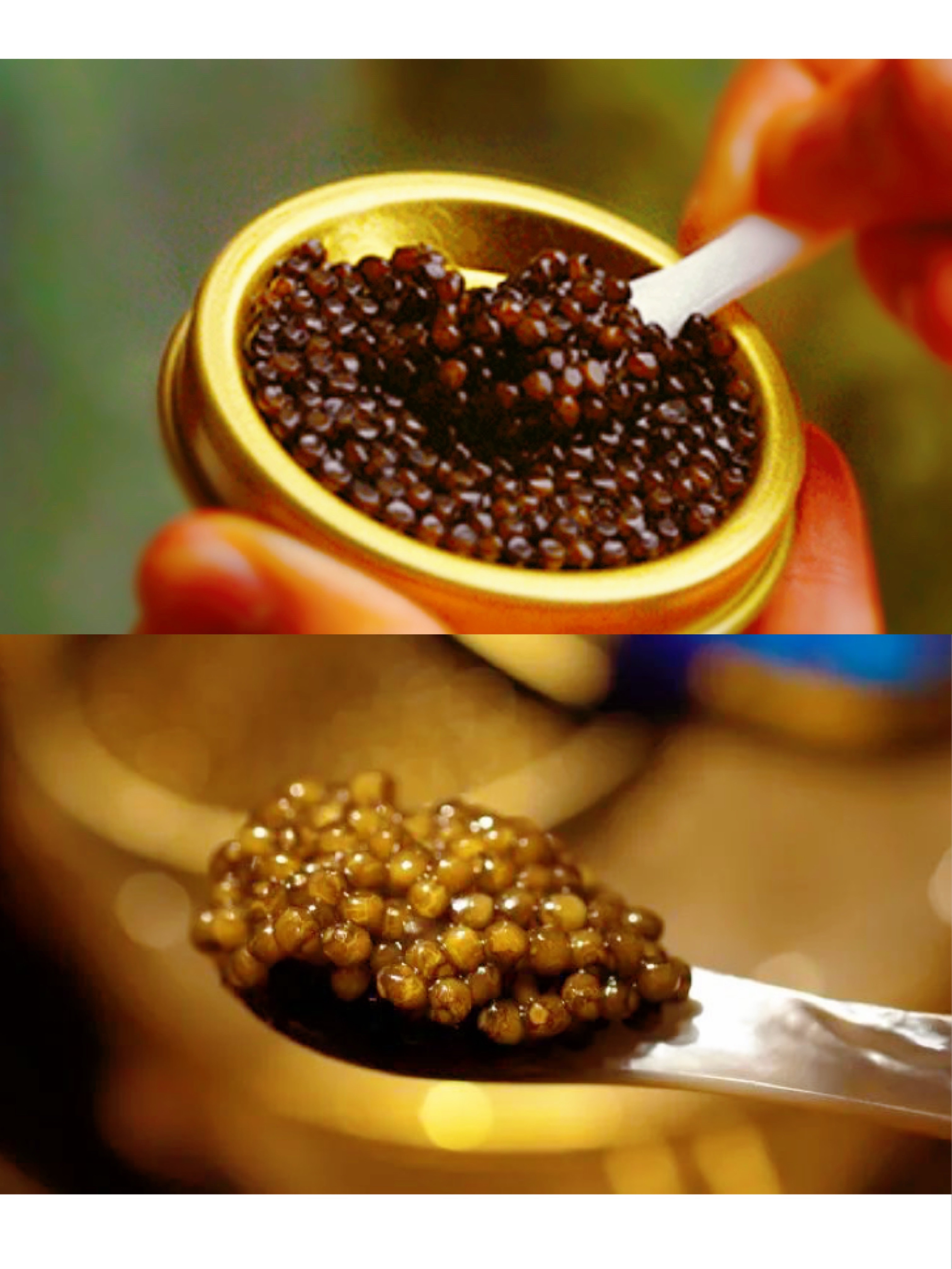 鱼子酱Caviar的做法