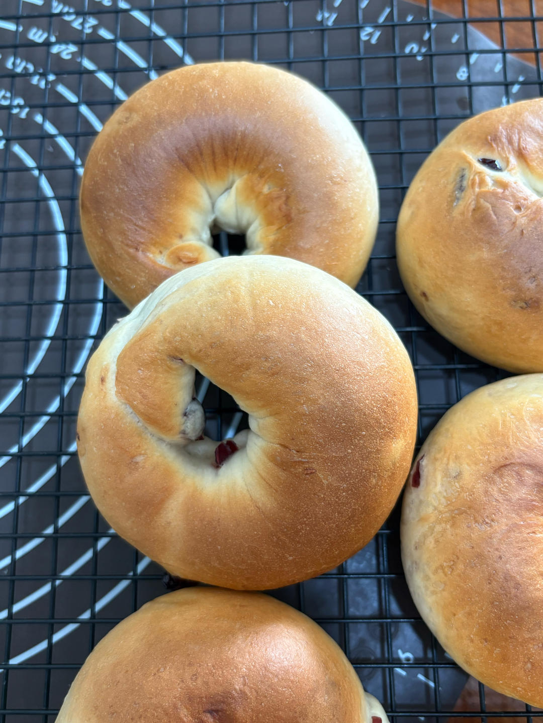 蔓越莓贝果🥯轻松实现贝果自由