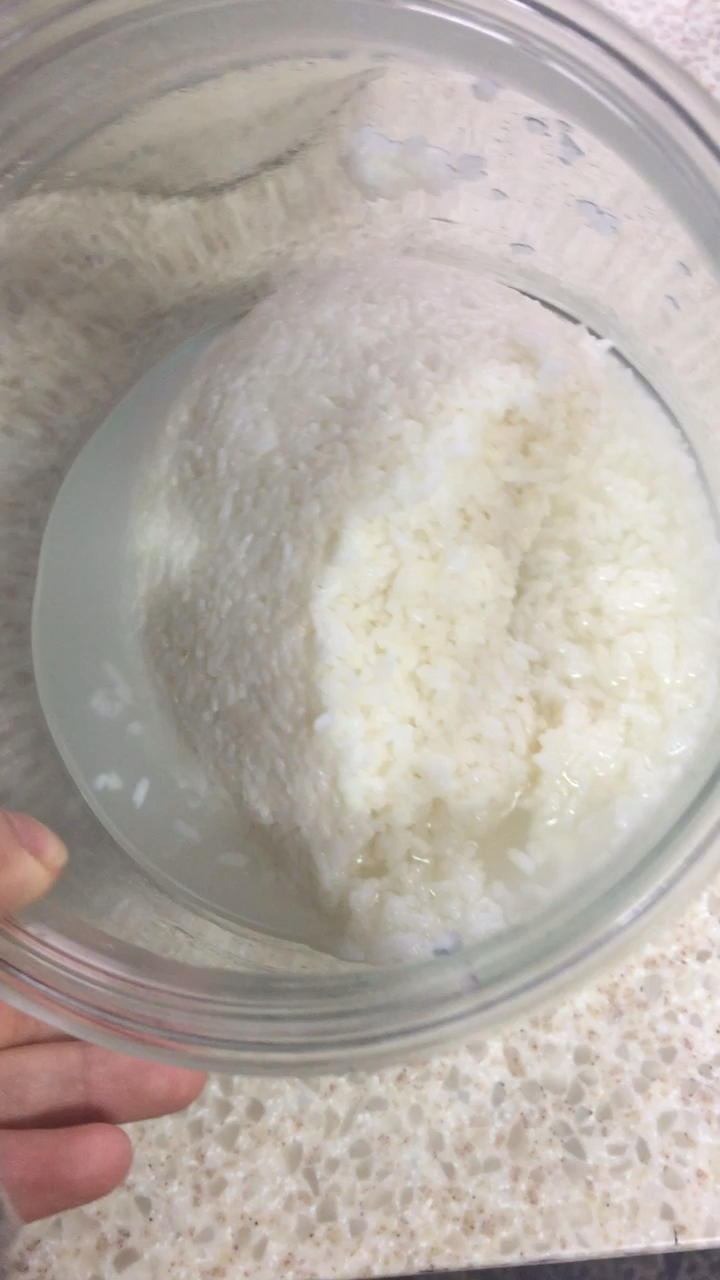 酒酿、米酒做法精细版