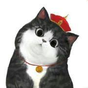 猫眠槐树林