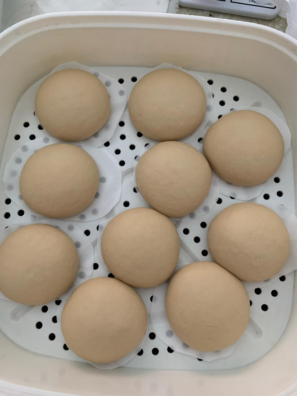 【小高姐】北方大馒头 小麦醇香 只用三种原料