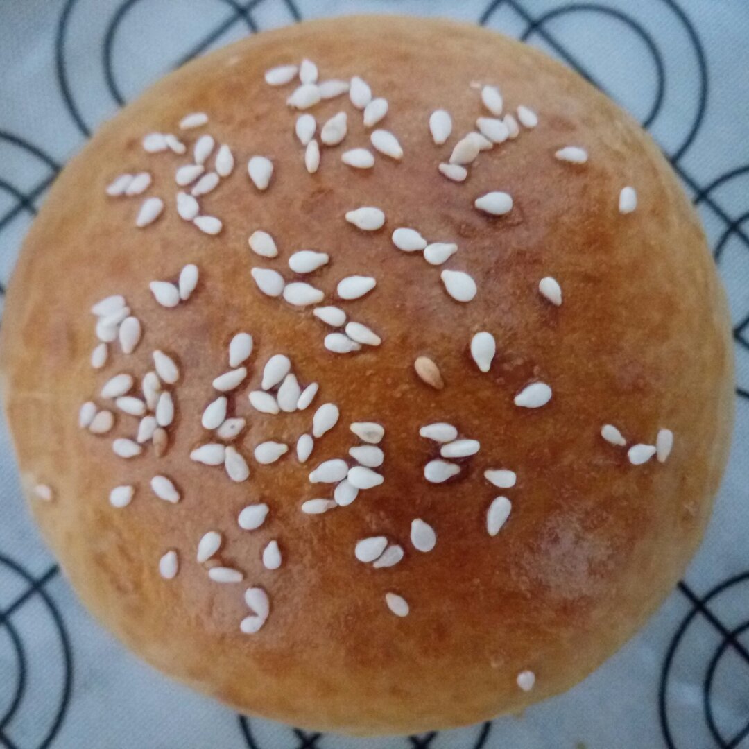 汉堡胚 poolish（波兰种）