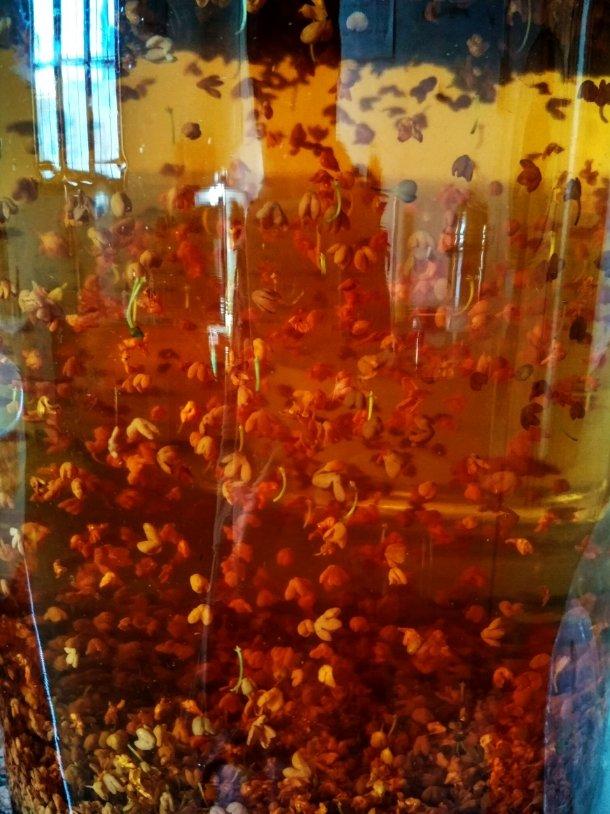 桂花酒独家秘方