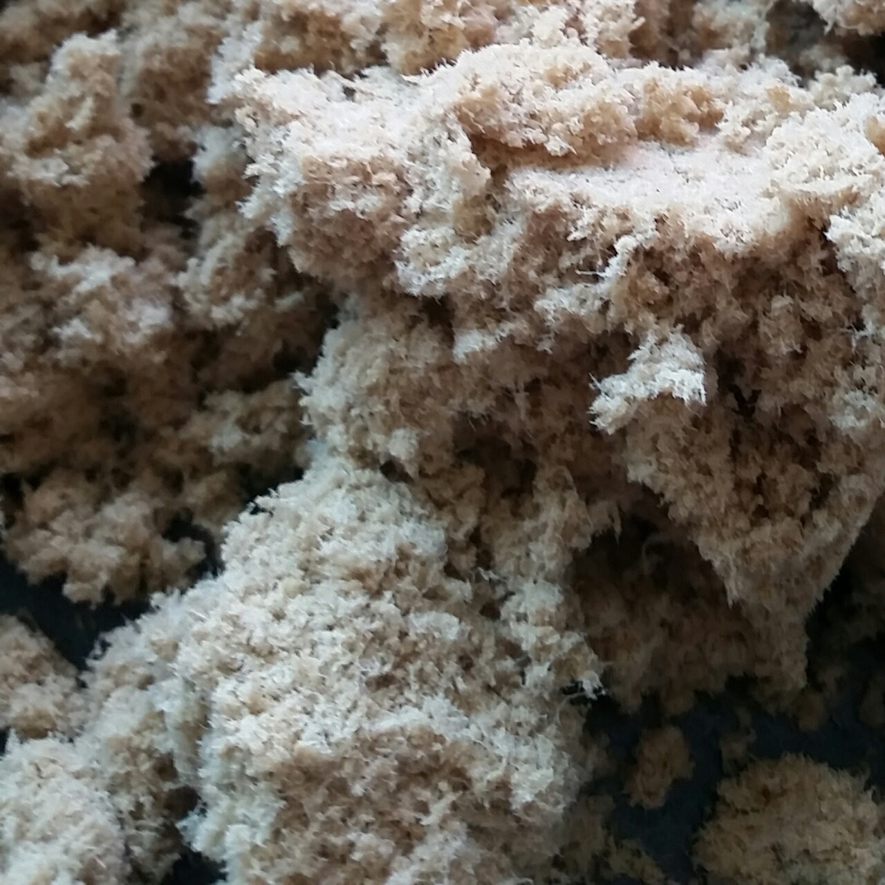 面包机自制肉松