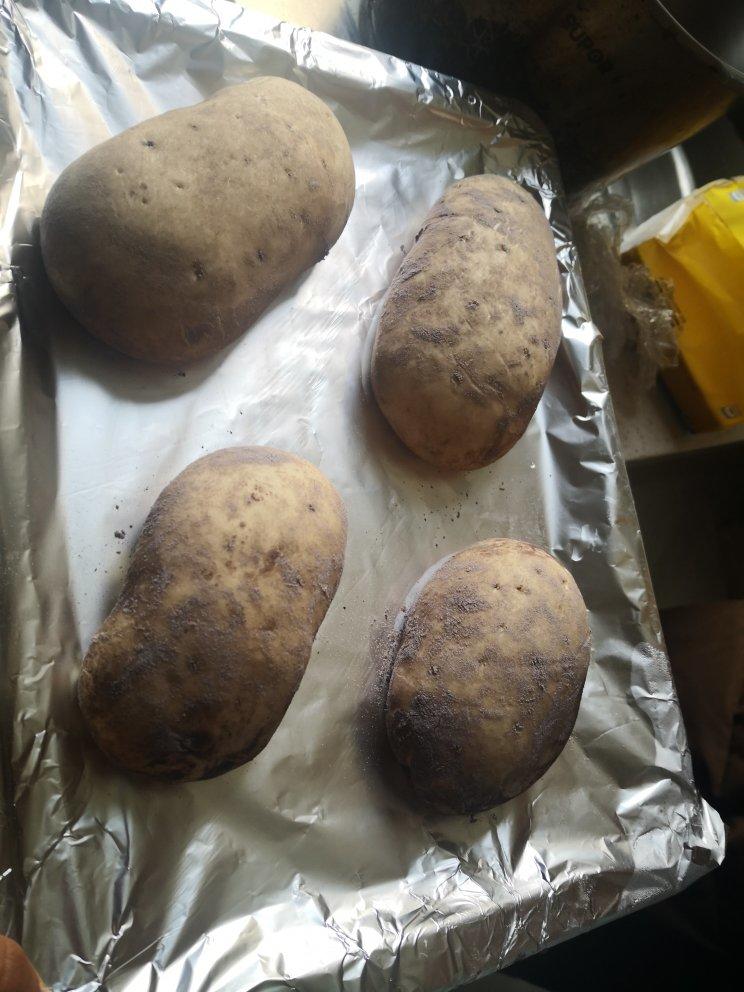 《Tinrry+》仿真土豆面包