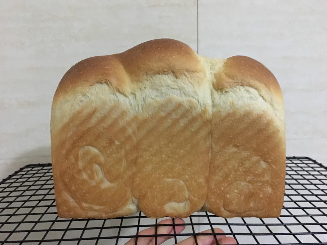 超绵酸奶吐司（百分之百中种）