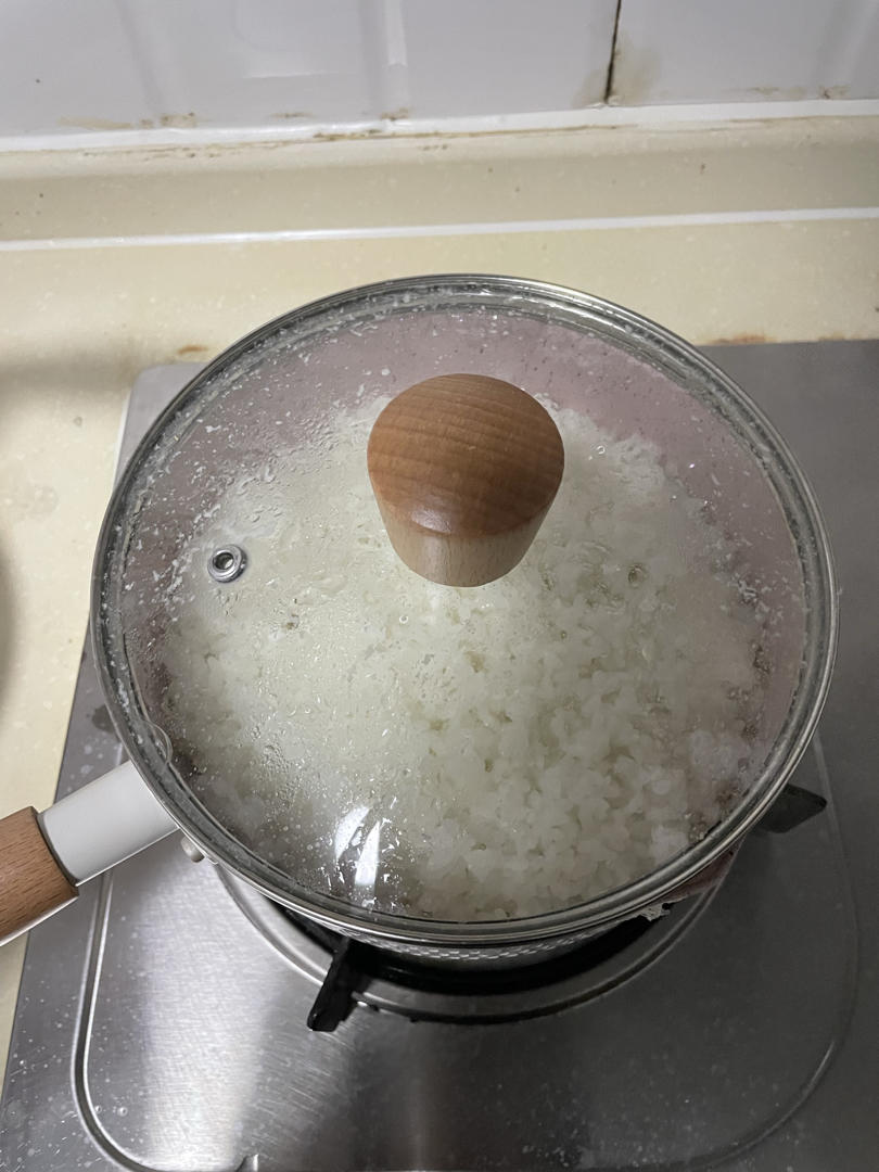 快手菜一人食之奶锅煮饭