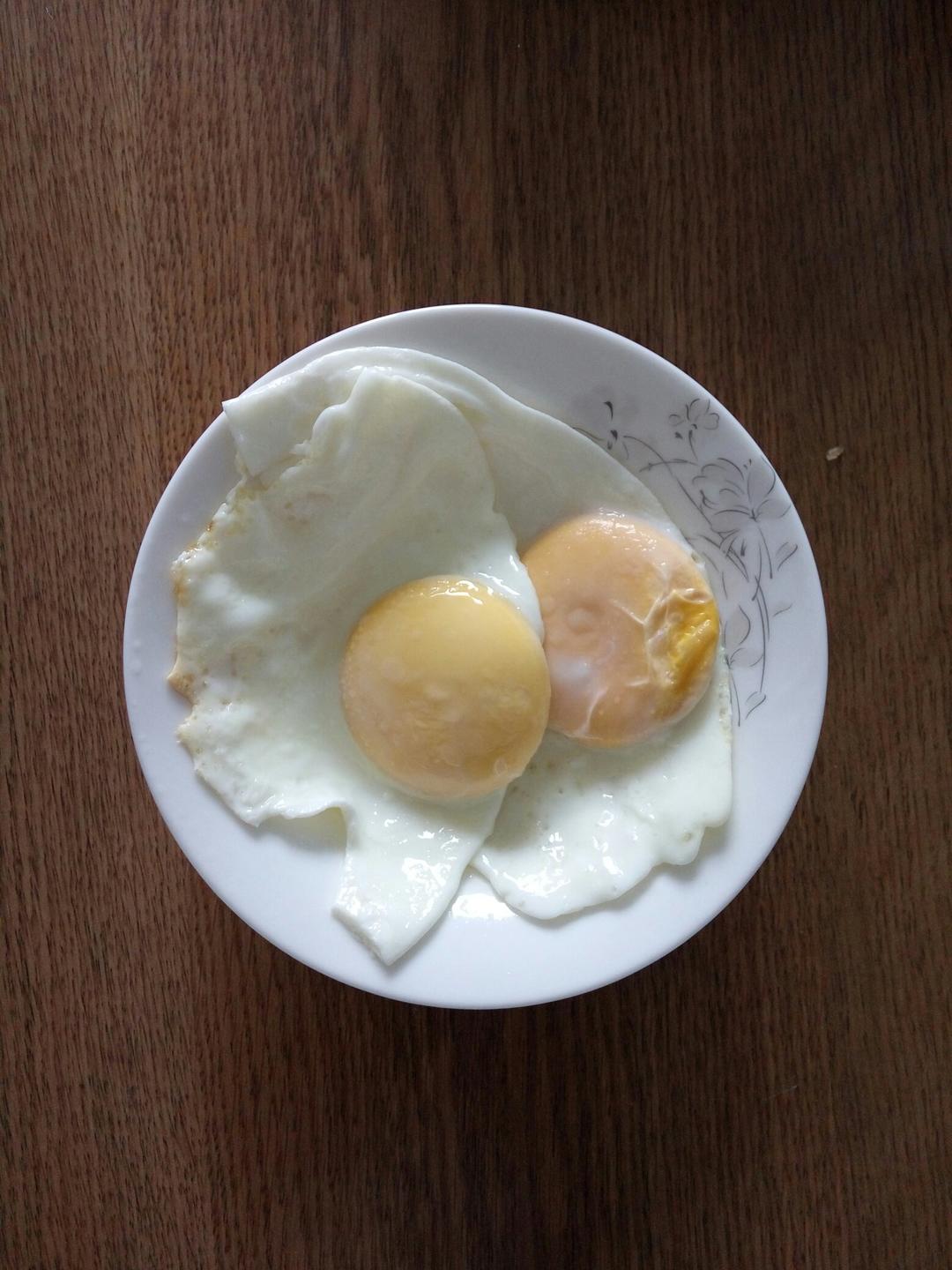 【熊记】太阳蛋