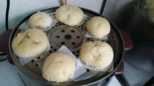 白菜猪肉包子（面包机揉面发酵）的做法 步骤5