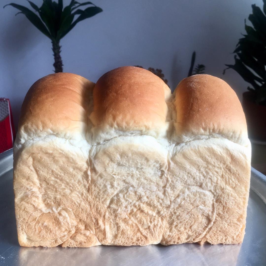 炸弹来袭💥波兰种养乐多吐司