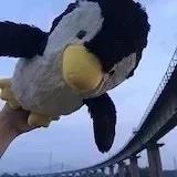 美企鹅