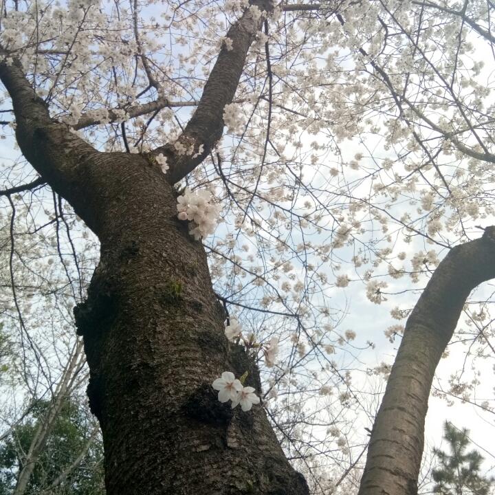 手机用户5602_0old