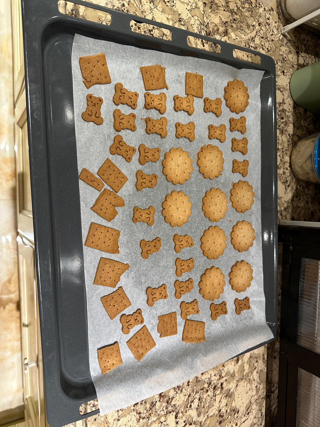 朝日屋的全麦脆饼干