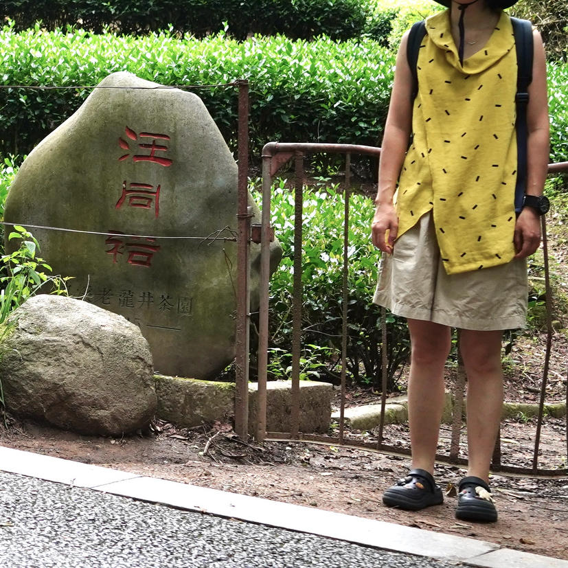 高胆固醇患者