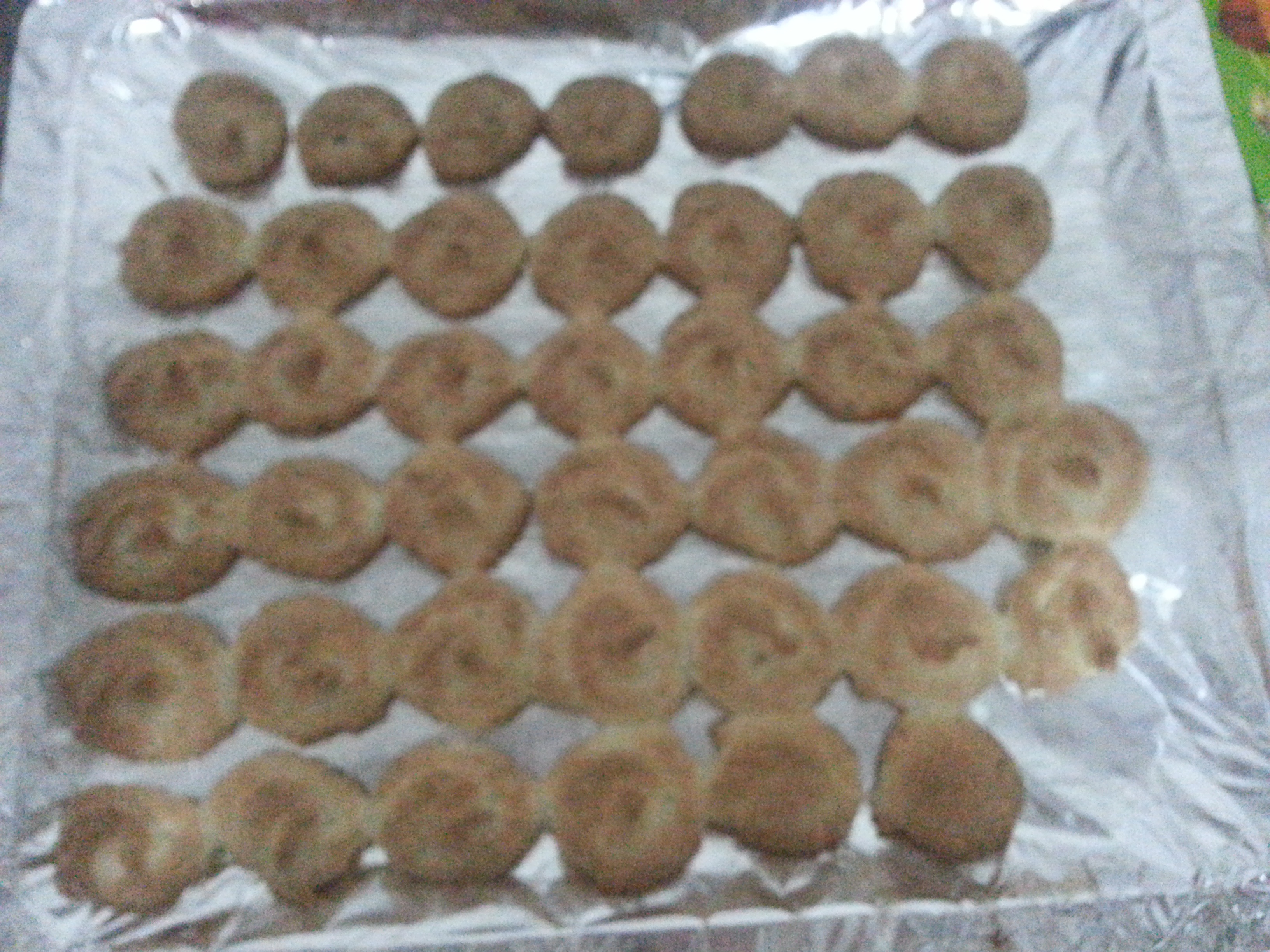 椰蓉蛋白饼干