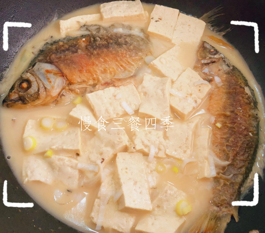 奶白鲫鱼豆腐汤|一条鱼最后的温柔