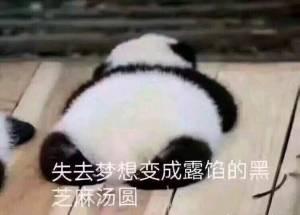 无糖全麦面包