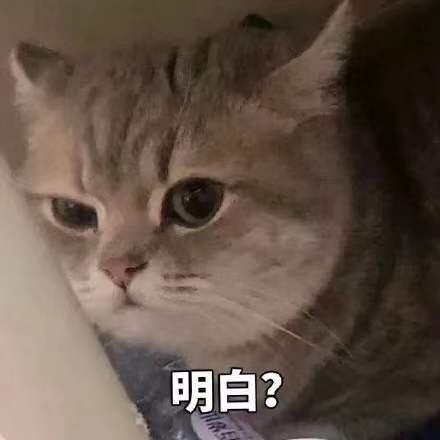 我才没有吃很多