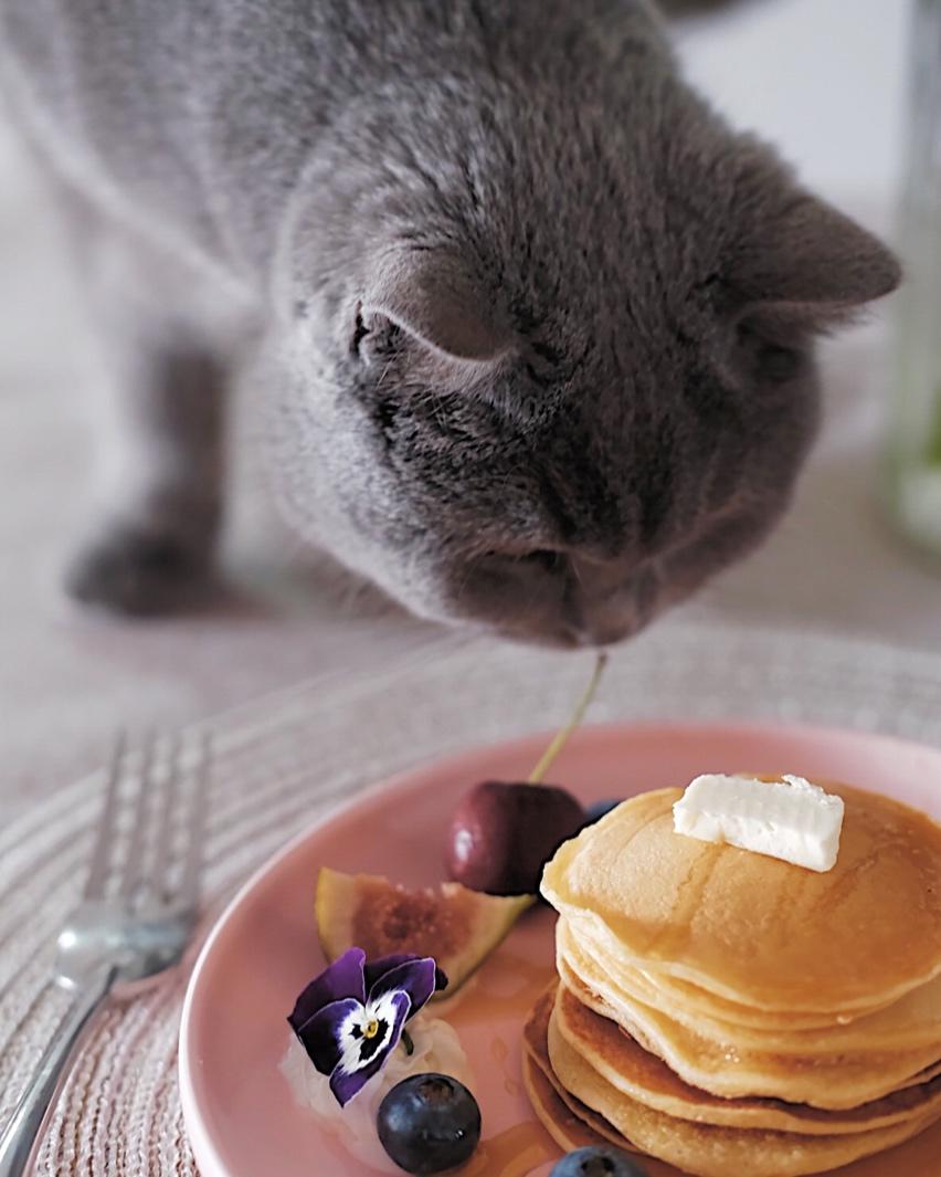 早餐煎饼（pancake）