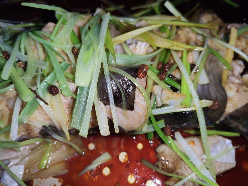 清蒸鱼～娃爸一招儿鲜(附小视频)